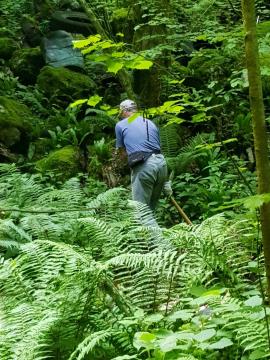 Sanacija črnega odlagališča – Banova jama 025